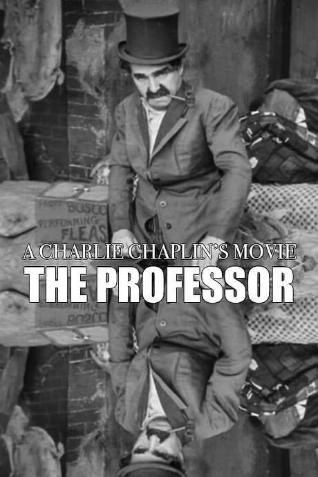 The Professor